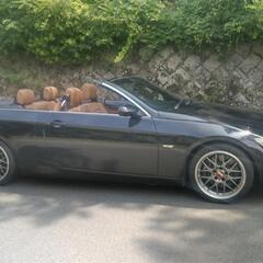 BMW335i オープンカーの画像