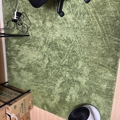あげます→【7/16(木)まで】ニトリ製カーペット緑の画像