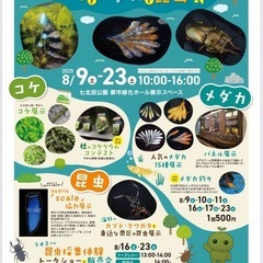 メダカ釣り開催