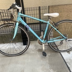 2023 GIANT Bicycles | ESCAPE JR 24