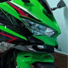 最終値下げ！Kawasaki Ninja ZX-25R 250ccの画像