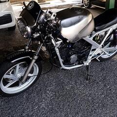 ゼルビス250
