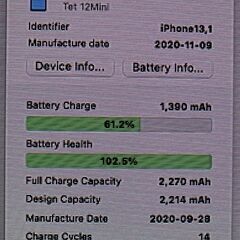 美品 iPhone12 mini ブルー ／ A2398 ／ 国内SIMフリー ／ 128GB ／バッテリー100％の画像