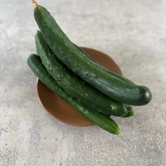 5種野菜🍅🍆🥒🌿‬採れたてです！の画像