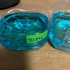 メダカの卵の画像