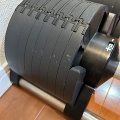フレックスベル FLEXBELL 32kg 2kg刻み NUO可変式ダンベル (ゆん