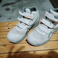 アシックスハイカット安全靴