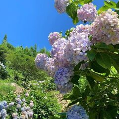 友達募集です！🤗 - 千代田区