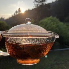 和紅茶作りワークショップ - イベント