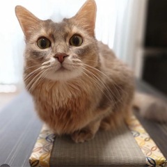 性格の合う友人作り