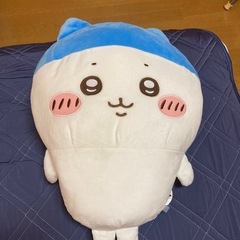 ハチワレ　ぬいぐるみ　スポーツ刈りの画像