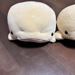ぬいぐるみの画像