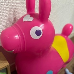 ロディの画像