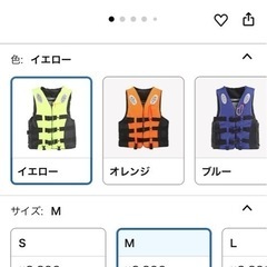  救命胴衣子供用S、Mの画像