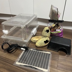 SUDO(スドー) ハープクラフト レプティギア300 爬虫類、...