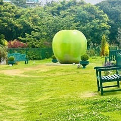 【8月-12月】パラコードワークショップ(千葉市稲毛海浜公園)の画像