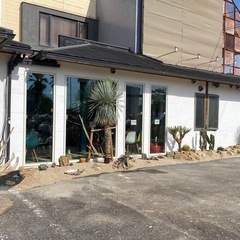 【ドライガーデン】施工、リノベーション、プランターガーデン