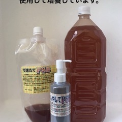 自家培養 光合成細菌(PSB)  1ℓ⇒500円 2ℓ⇒1000円 の画像