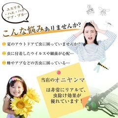 【新品】オニヤンマ トンボ 虫除け 安全ピン つけるだけ アウトドア 庭遊び 公園 通学の画像