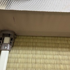 人気　日本育児　おくだけとおせんぼ　S グレージュ　の画像