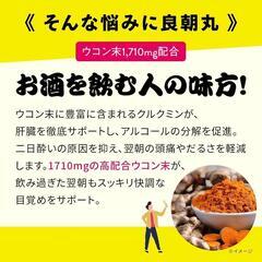 【新品未開封】良朝丸 ウコン ウルソ生薬 二日酔い 肝臓ケア リュウジ監修の画像