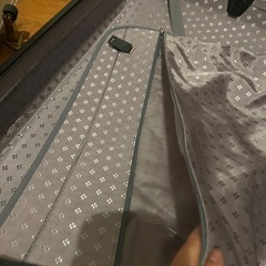 大きなスーツケース キャリーケース 緑の画像