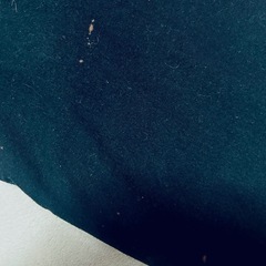 決まりました°°パタゴニアTシャツ☺︎の画像