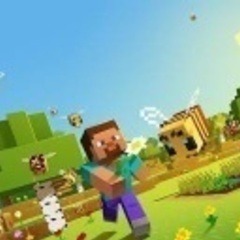 マイクラ ゲーム実況者相方 動画編集者 募集
