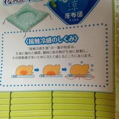 猫用　接触冷感　座布団ベッドの画像