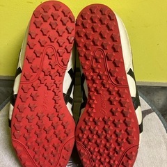 最終値下げです。アシックス　ゴルフシューズ　28cmの画像