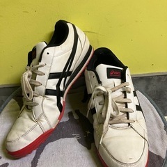 最終値下げです。アシックス　ゴルフシューズ　28cmの画像