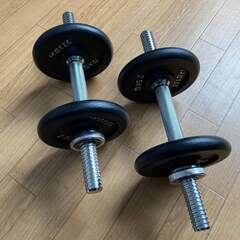 TOP FILM ダンベル 鉄アレイ 20kg 2個セット 40kg ヘックス