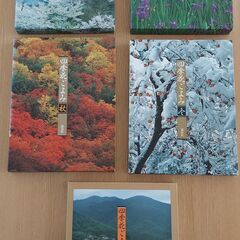 四季花ごよみ　講談社　春夏秋冬＋別巻　草木花の歳時記　ふるさとの花　全５巻セットの画像