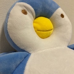 ペンギン　怪我防止　赤ちゃんの画像