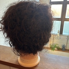 ヘアーマネキンの画像