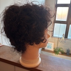 ヘアーマネキンの画像