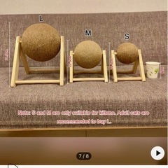 爪研ぎの画像
