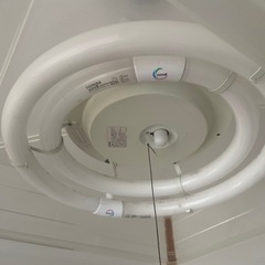 電気！の画像