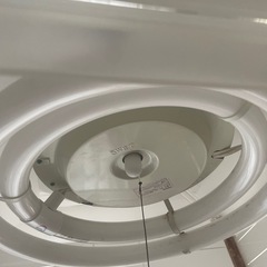 電気！の画像