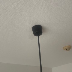 電気！の画像