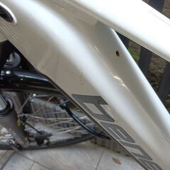 benelli mantus 27 trkの画像