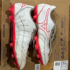 MIZUNO レビュラ CUP SELECT Jr21.0の画像