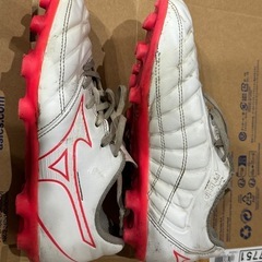 MIZUNO レビュラ CUP SELECT Jr21.0の画像