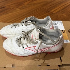 MIZUNO レビュラ CUP SELECT Jr21.0の画像