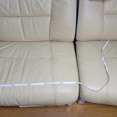 カリモクの画像