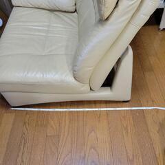 カリモクの画像