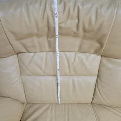 カリモクの画像