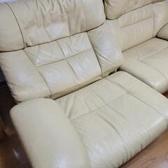 カリモクの画像