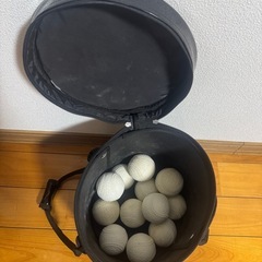 野球ボールケースとボール12球の画像