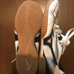 ミズノの卓球用シューズの画像